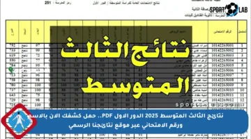 نتائج الثالث المتوسط 2025 الدور الأول PDF.. حمل كشفك الآن بالاسم ورقم الامتحاني عبر موقع نتائجنا الرسمي